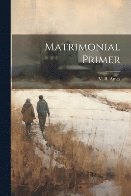 bokomslag Matrimonial Primer