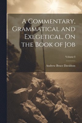 A Commentary, Grammatical and Exegetical, On the Book of Job; Volume I 1