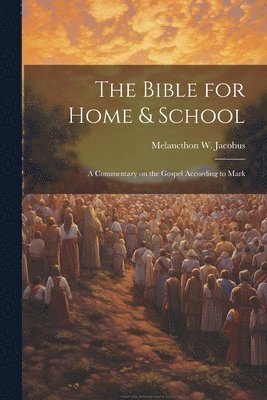 bokomslag Bible for Home & School