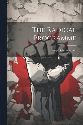 bokomslag The Radical Programme