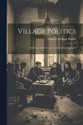 bokomslag Village Politics