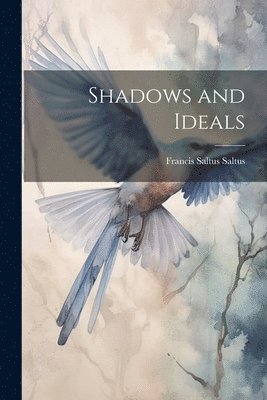 Shadows and Ideals 1