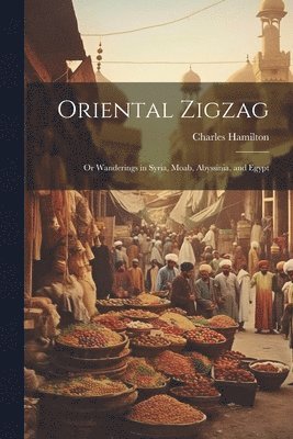 Charles Hamilton - Oriental Zigzag; Or Wanderings in Syria, Moab, Abyssinia, and Egypt, Häftad