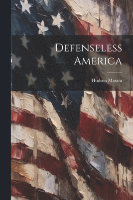 bokomslag Defenseless America