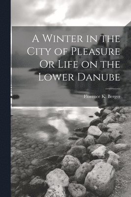 bokomslag Winter in the City of Pleasure Or Life on the Lower Danube