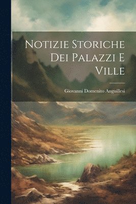 bokomslag Notizie Storiche dei Palazzi e Ville