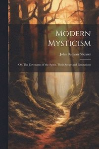 bokomslag Modern Mysticism