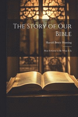 bokomslag The Story of Our Bible