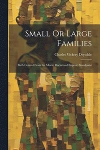 bokomslag Small Or Large Families