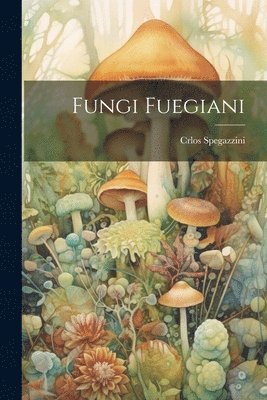 bokomslag Fungi Fuegiani