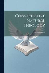 bokomslag Constructive Natural Theology