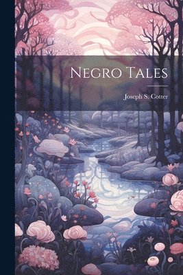 bokomslag Negro Tales