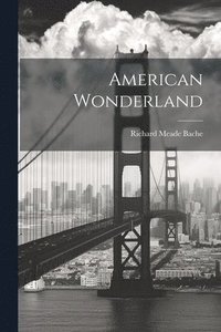 bokomslag American Wonderland