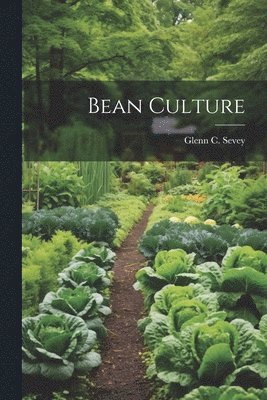 bokomslag Bean Culture