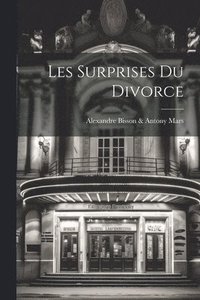 bokomslag Les Surprises Du Divorce