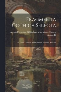 bokomslag Fragmenta Gothica Selecta