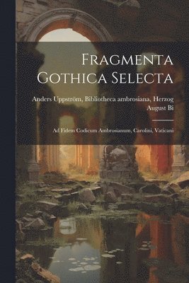 Fragmenta Gothica Selecta 1