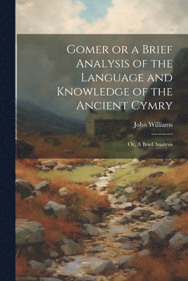 bokomslag Gomer or a Brief Analysis of the Language and Knowledge of the Ancient Cymry