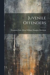 bokomslag Juvenile Offenders