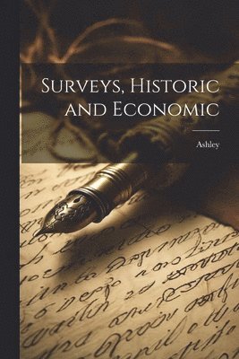 bokomslag Surveys, Historic and Economic