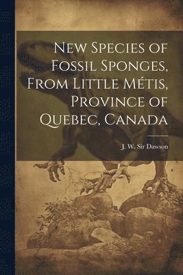 bokomslag New Species of Fossil Sponges, From Little Métis, Province of Quebec, Canada