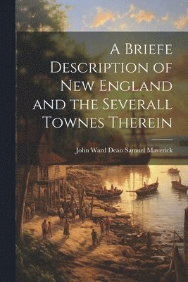 bokomslag Briefe Description of New England and the Severall Townes Therein