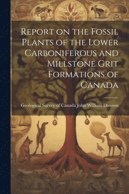 bokomslag Report on the Fossil Plants of the Lower Carboniferous and Millstone Grit Formations of Canada