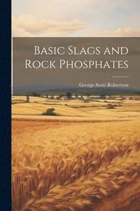 bokomslag Basic Slags and Rock Phosphates