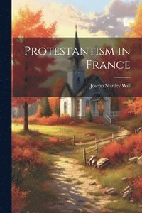 bokomslag Protestantism in France