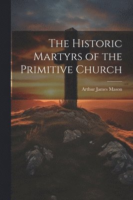 bokomslag Historic Martyrs of the Primitive Church