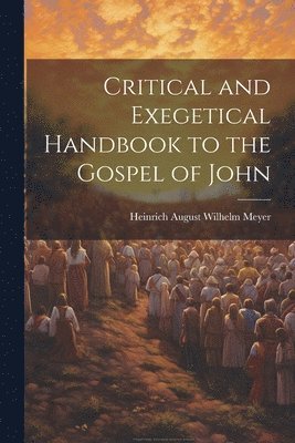 Heinrich August Wilhelm Meyer - Critical and Exegetical Handbook to the Gospel of John, Häftad