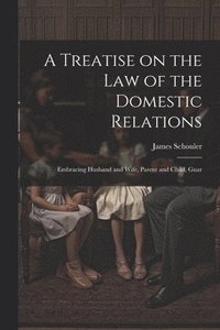 bokomslag A Treatise on the law of the Domestic Relations