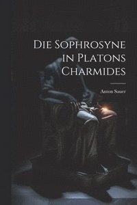 bokomslag Die Sophrosyne in Platons Charmides