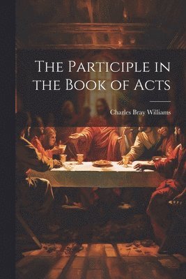 bokomslag Participle in the Book of Acts
