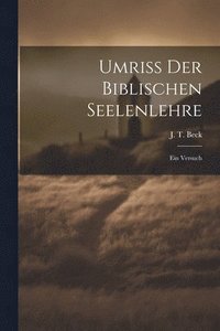 bokomslag Umriss der biblischen Seelenlehre