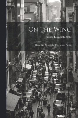 Mary Elizabeth Blake - On the Wing, Häftad