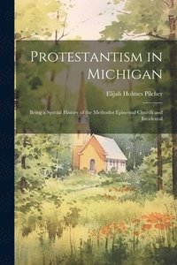 bokomslag Protestantism in Michigan
