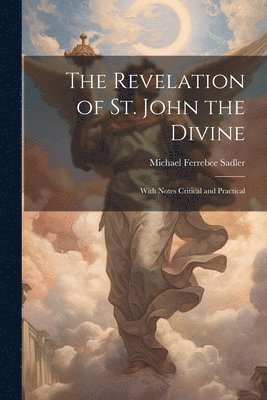 Michael Ferrebee Sadler - Revelation of St. John the Divine, Häftad