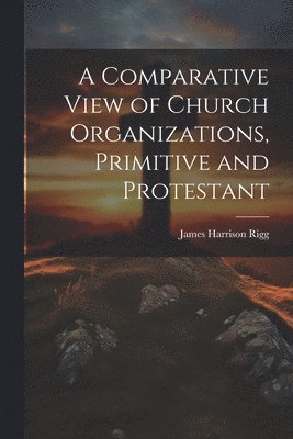 bokomslag A Comparative View of Church Organizations, Primitive and Protestant