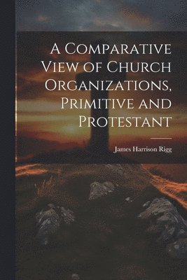 James Harrison Rigg - Comparative View of Church Organizations, Primitive and Protestant, Häftad