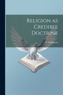 bokomslag Religion as Credible Doctrine