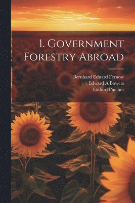 bokomslag 1. Government Forestry Abroad