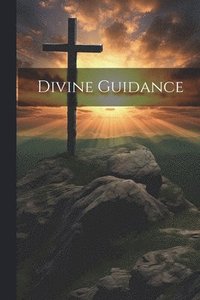 bokomslag Divine Guidance