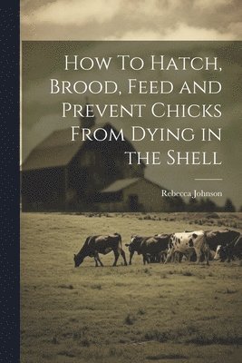 Rebecca Johnson - How To Hatch, Brood, Feed and Prevent Chicks From Dying in the Shell, Häftad