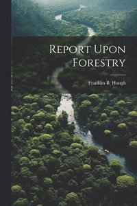 bokomslag Report Upon Forestry