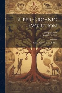 bokomslag Super-Organic Evolution