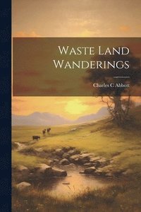 bokomslag Waste Land Wanderings