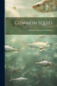 bokomslag Common Squid