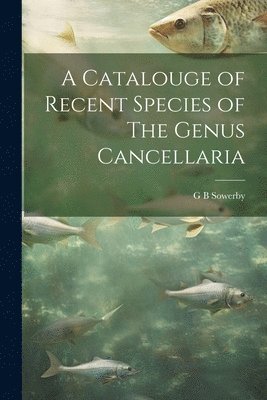 G B Sowerby - Catalouge of Recent Species of The Genus Cancellaria, Häftad
