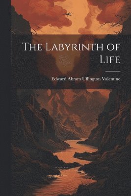 Labyrinth of Life